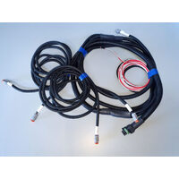Swaycontrol w/ Loom 12V Trailer Sway Controller System