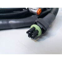 Swaycontrol w/ Loom 12V Trailer Sway Controller System